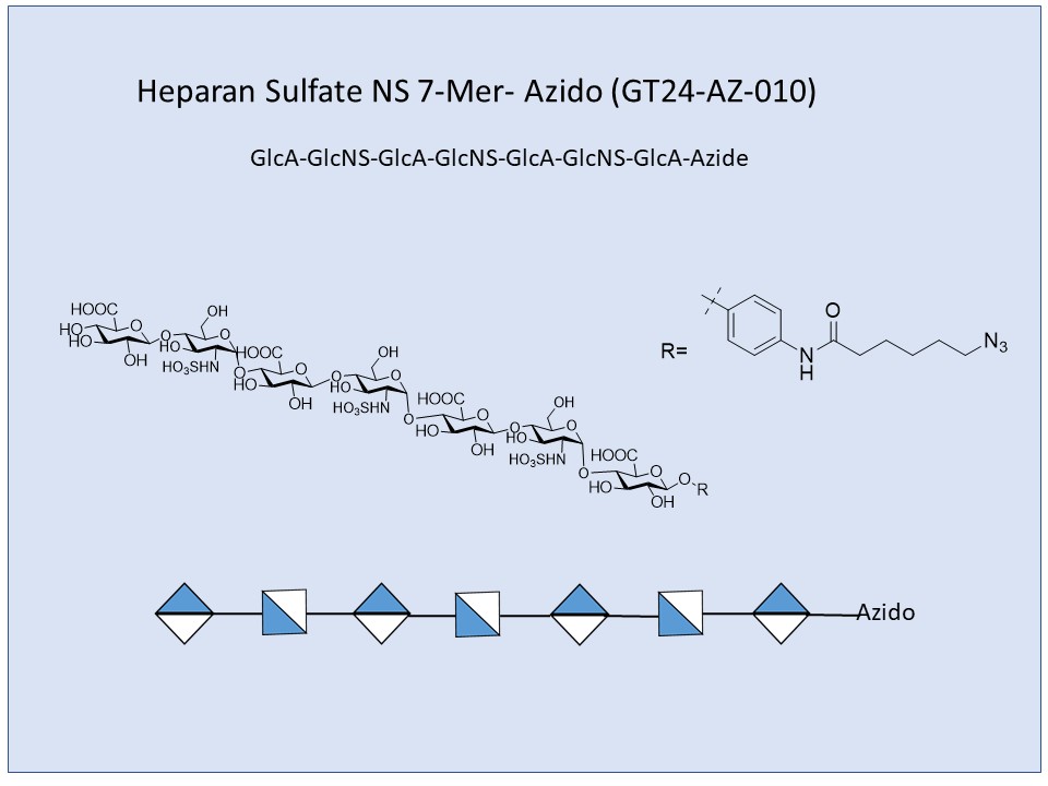 Heparan Sulfate NS 7-Mer