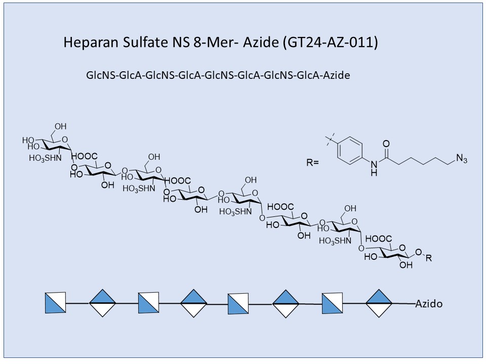Heparan Sulfate NS 8-Mer