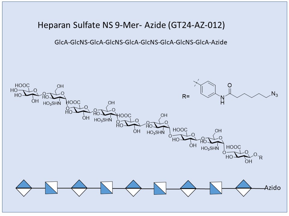 Heparan Sulfate NS 9-Mer