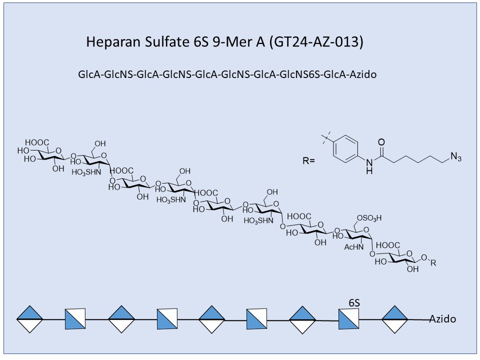 Heparan Sulfate 6S 9-Mer A