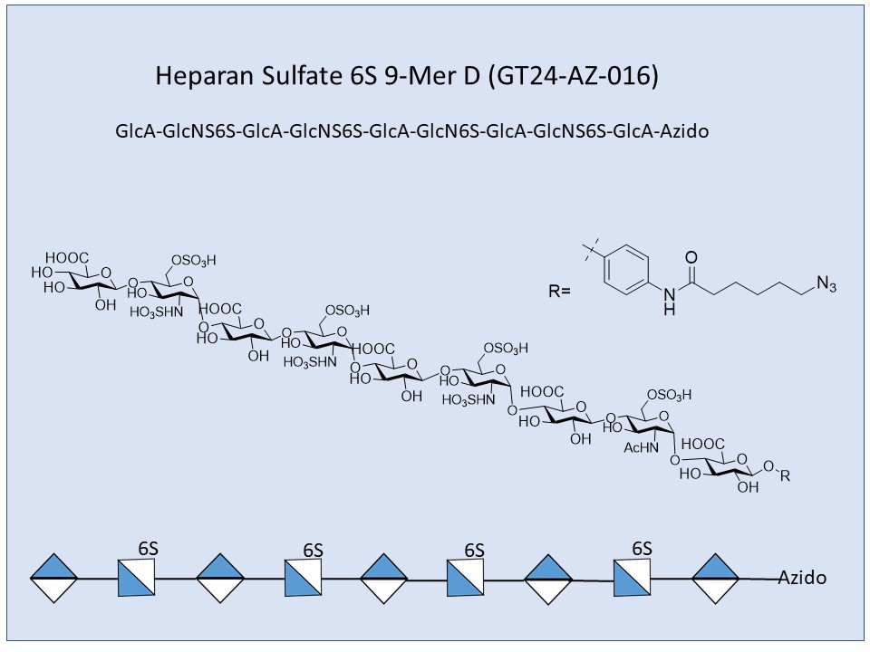 Heparan Sulfate 6S 9-Mer D