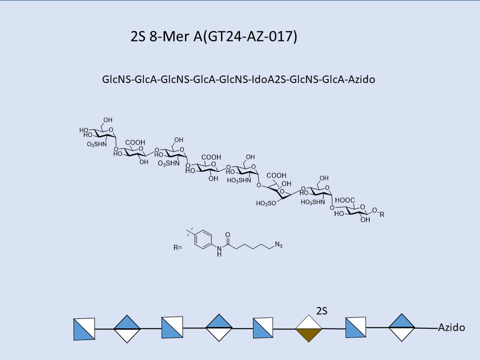 Heparan Sulfate 2S 8-Mer A