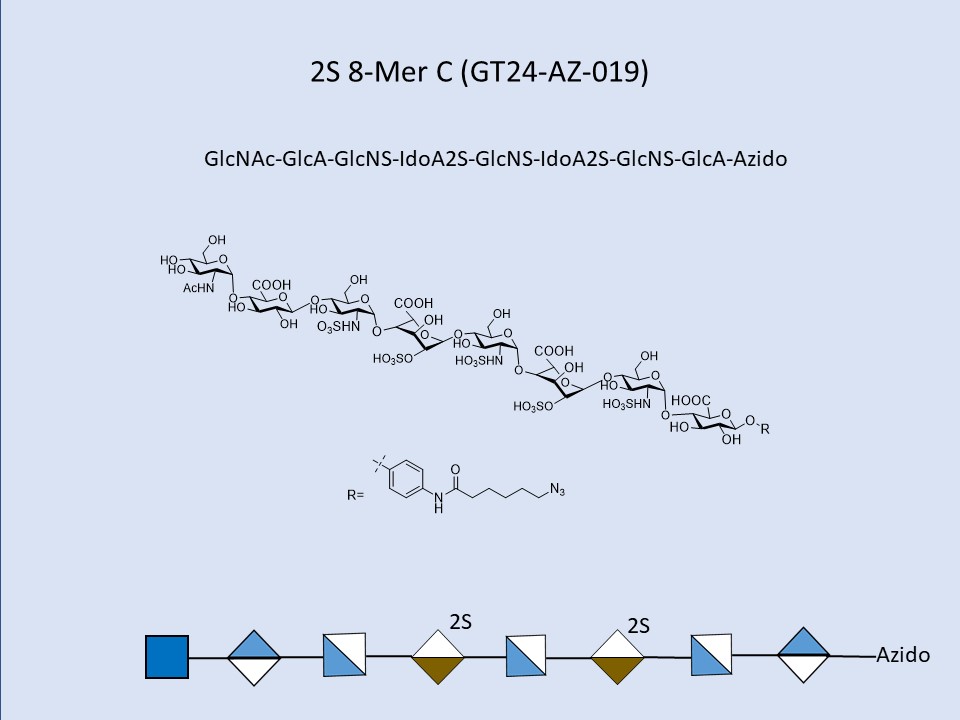 Heparan Sulfate 2S 8-Mer C