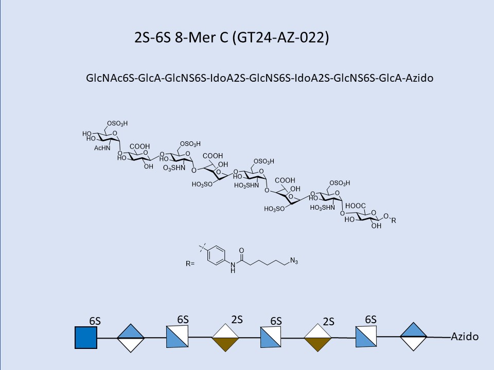 Heparan Sulfate 2S-6S 8-Mer C
