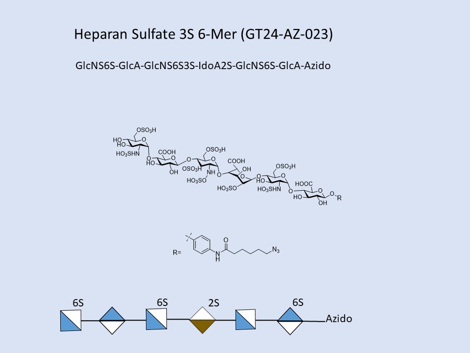 Heparan Sulfate 3S 6-Mer