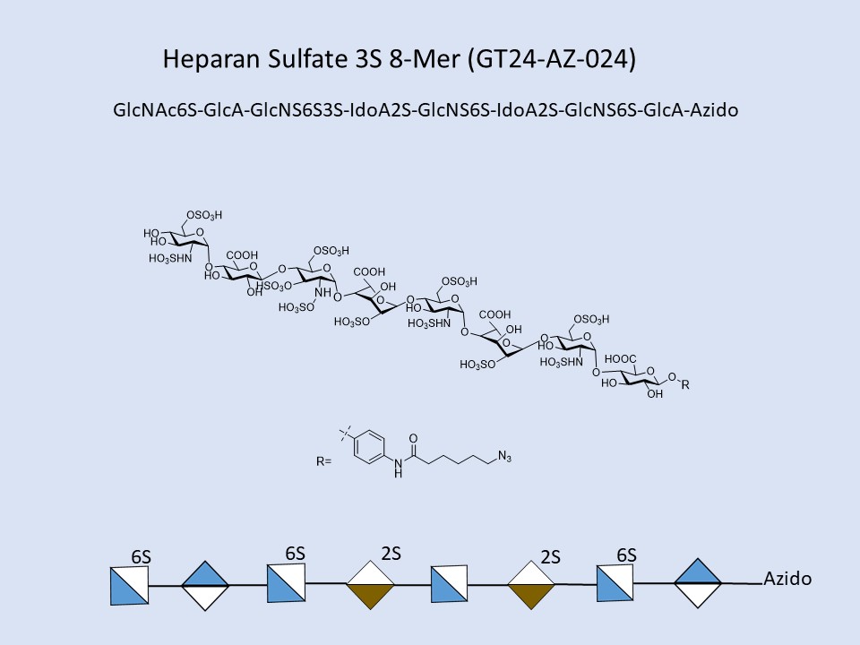 Heparan Sulfate 3S 8-Mer