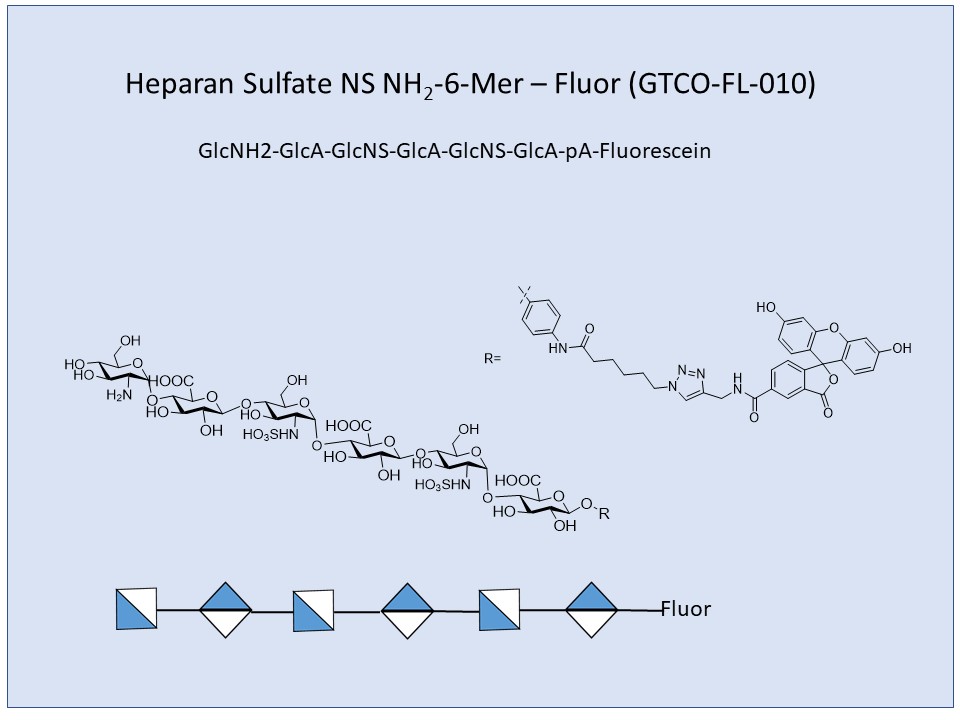 Heparan Sulfate NS NH2 6-Mer