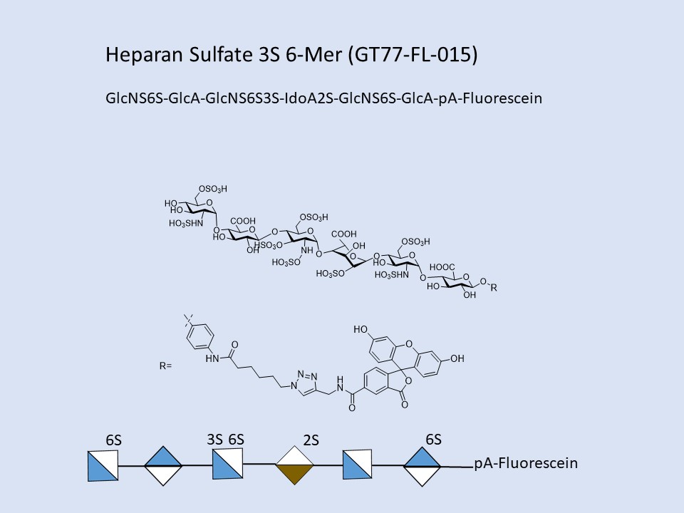 Heparan Sulfate 3S 6-Mer