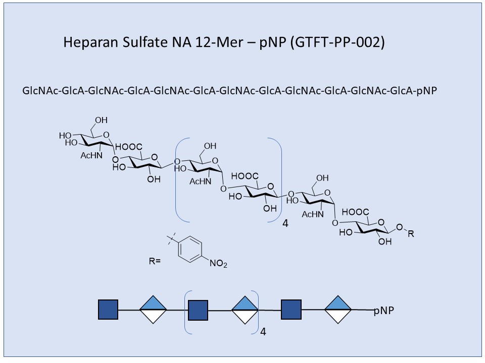 Heparan Sulfate NA 12-Mer