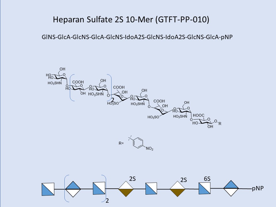 Heparan Sulfate 2S 10-Mer