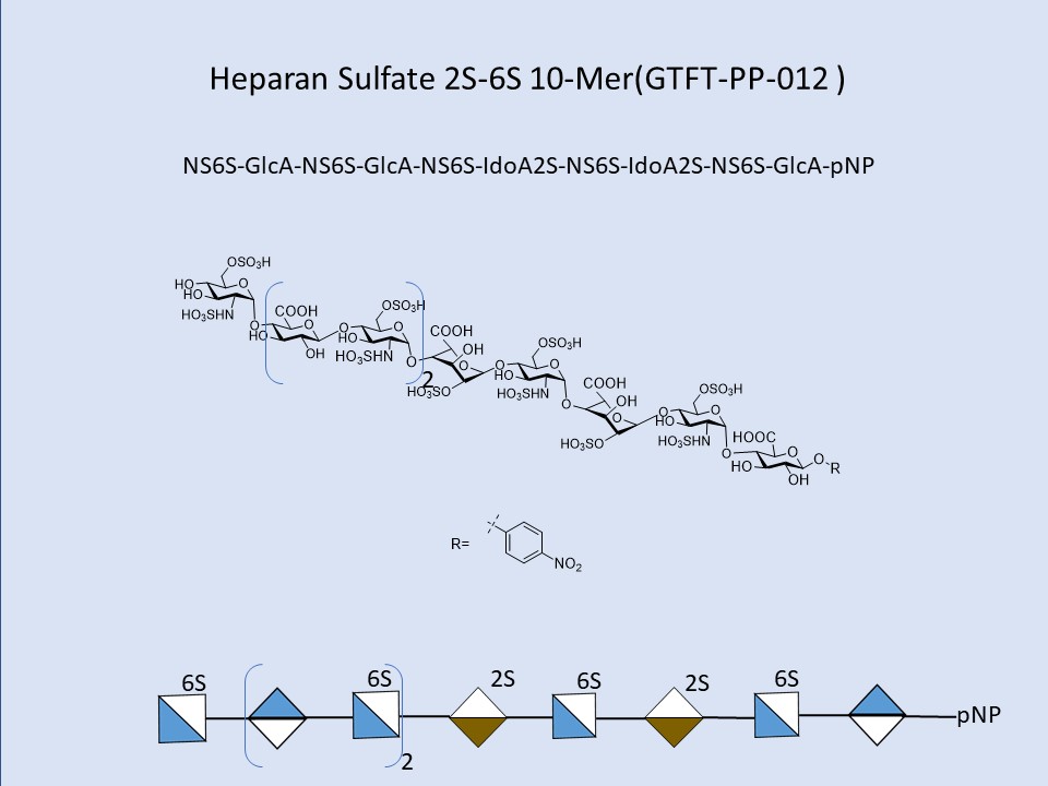 Heparan Sulfate 2S-6S 10-Mer