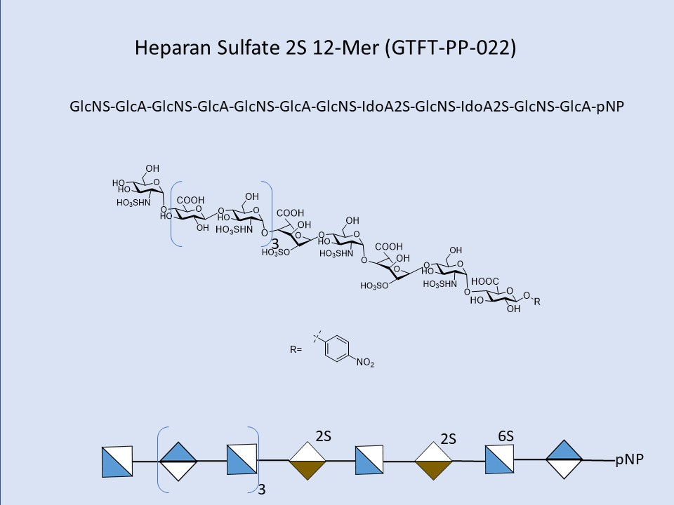Heparan Sulfate 2S 12-Mer