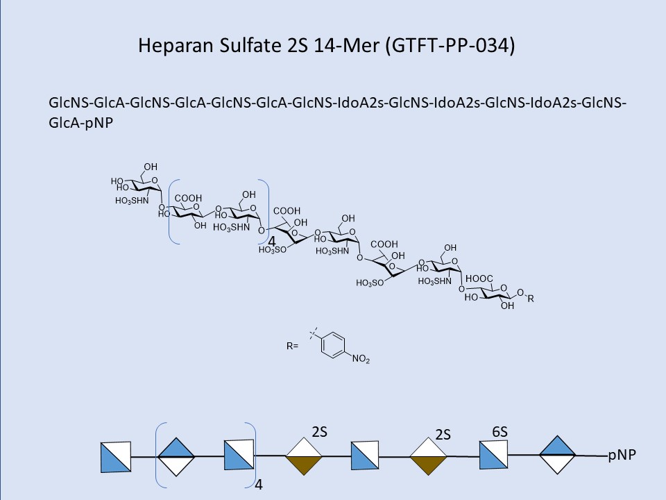 Heparan Sulfate 2S 14-Mer