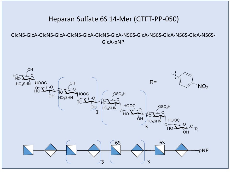 <h2>Heparan Sulfate 6S 16-Mer</h2>
