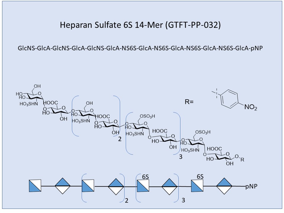 <h2>Heparan Sulfate 6S 14-Mer</h2>