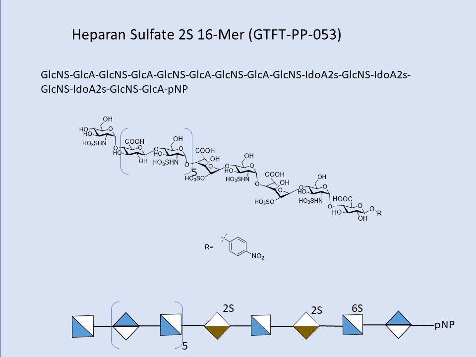 Heparan Sulfate 2S 16-Mer