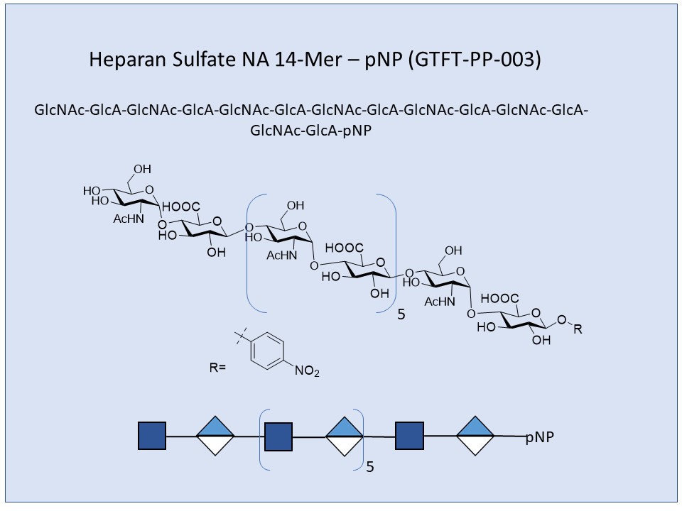 Heparan Sulfate NA 14-Mer
