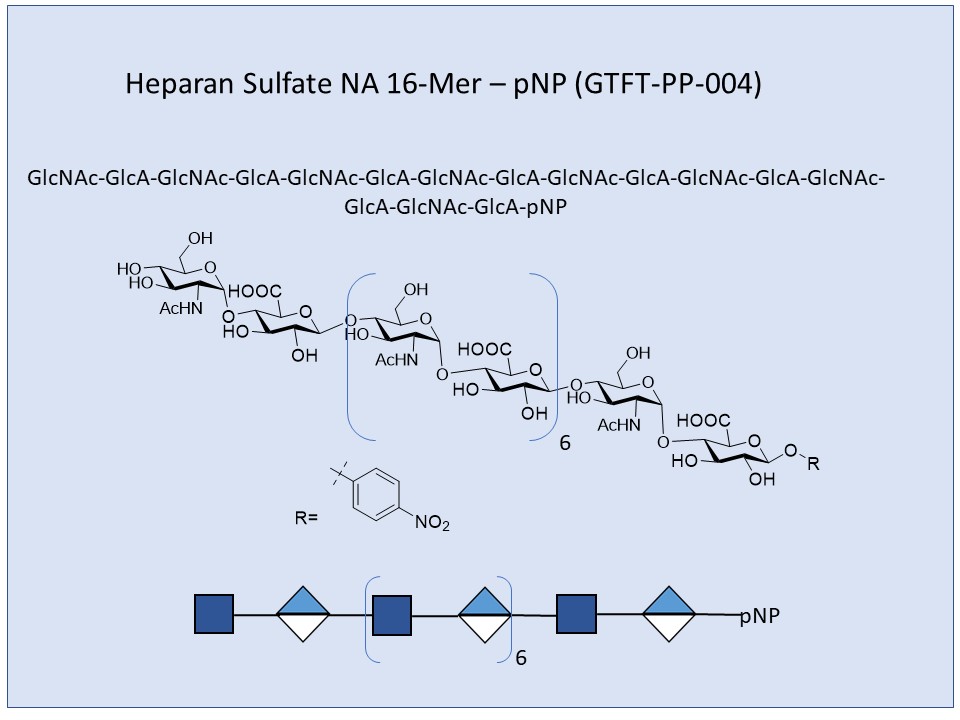 Heparan Sulfate NA 16-Mer