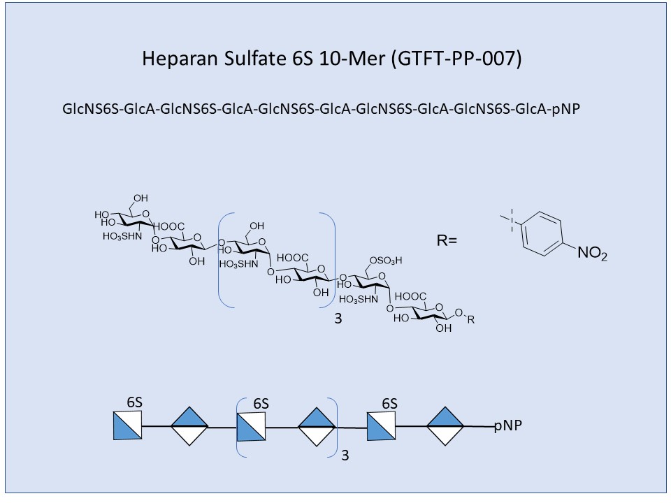 Heparan Sulfate 6S 10-Mer
