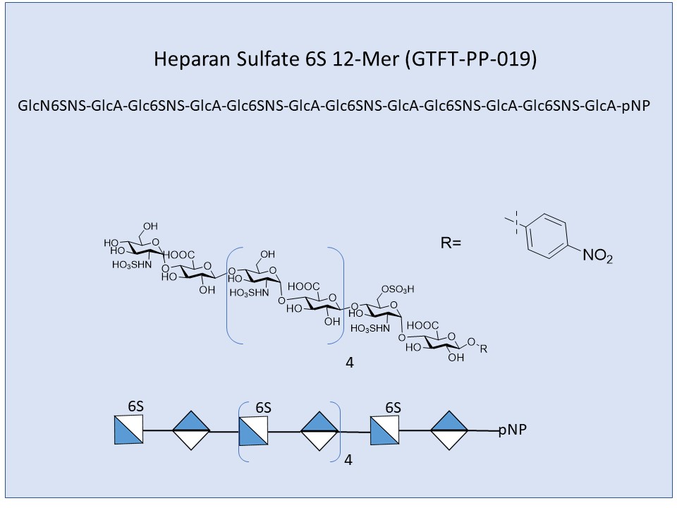 <h2>Heparan Sulfate 6S 12-Mer</h2>