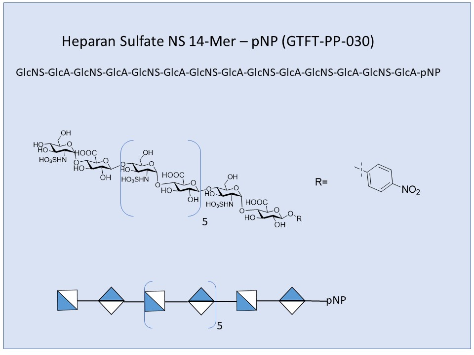 Heparan Sulfate NS 14-Mer