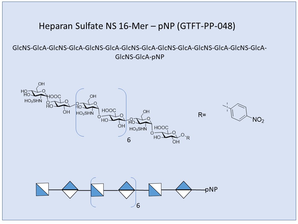 Heparan Sulfate NS 16-Mer