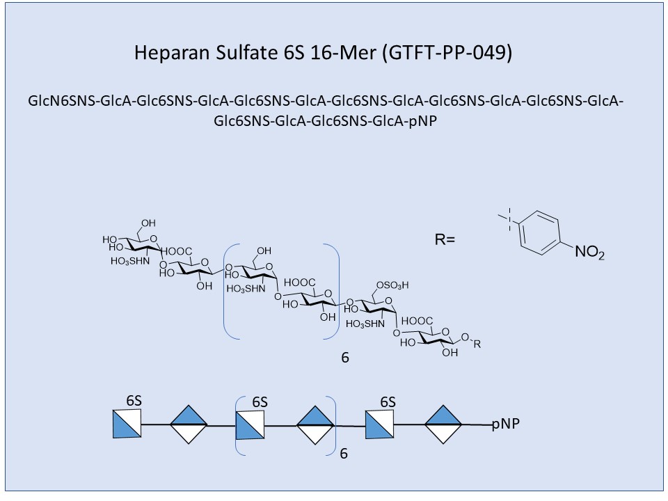 <h2>Heparan Sulfate 6S 16-Mer</h2>