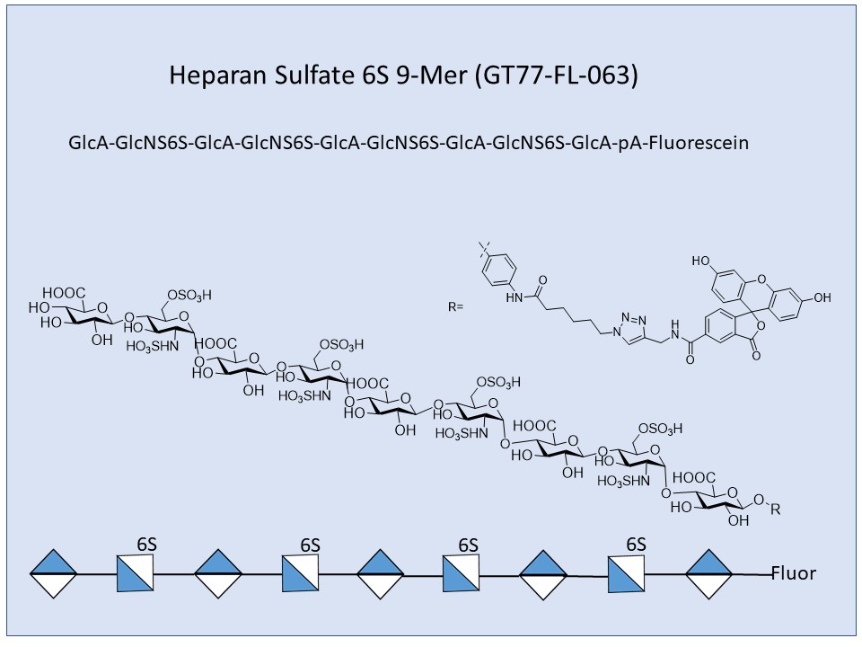 Heparan Sulfate 6S 9-Mer Fluor