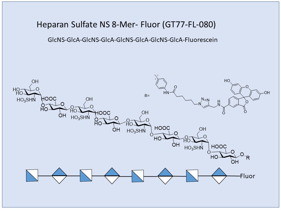 Heparan Sulfate NS 8-Mer Fluor