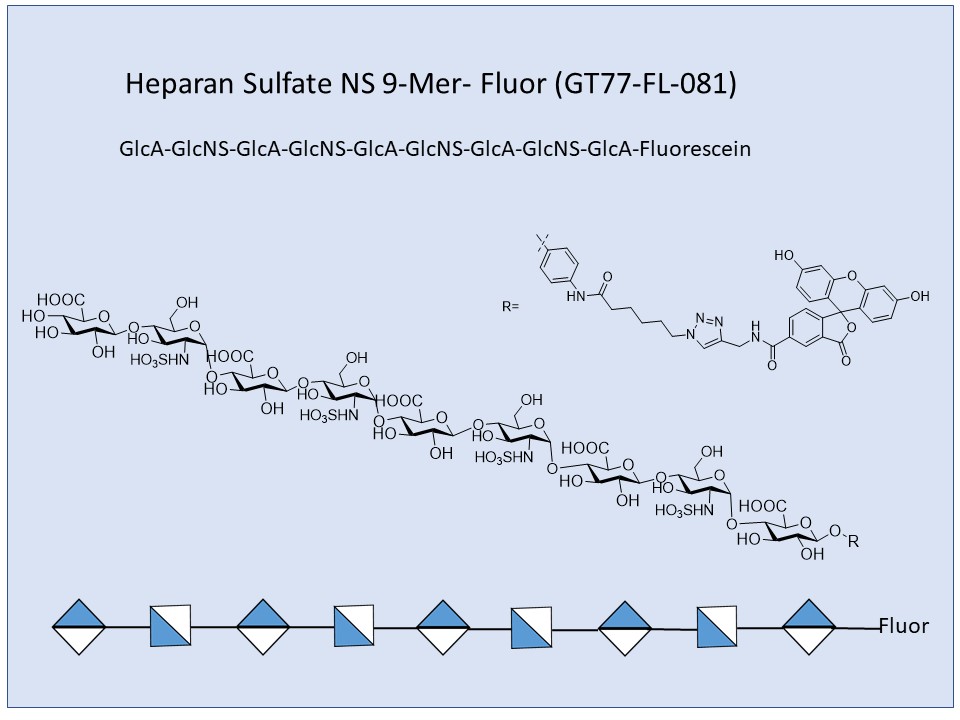 Heparan Sulfate NS 9-Mer Fluor
