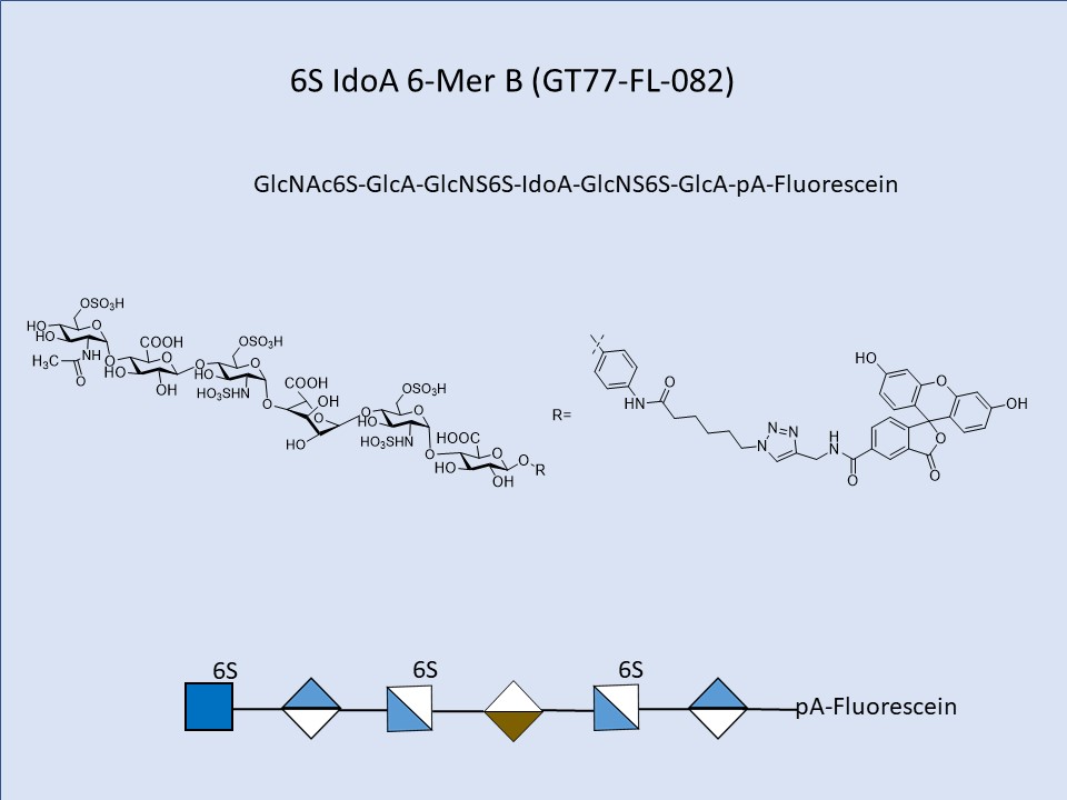 Heparan Sulfate NAc6S NS6S IdoA 6-Mer Fluor A