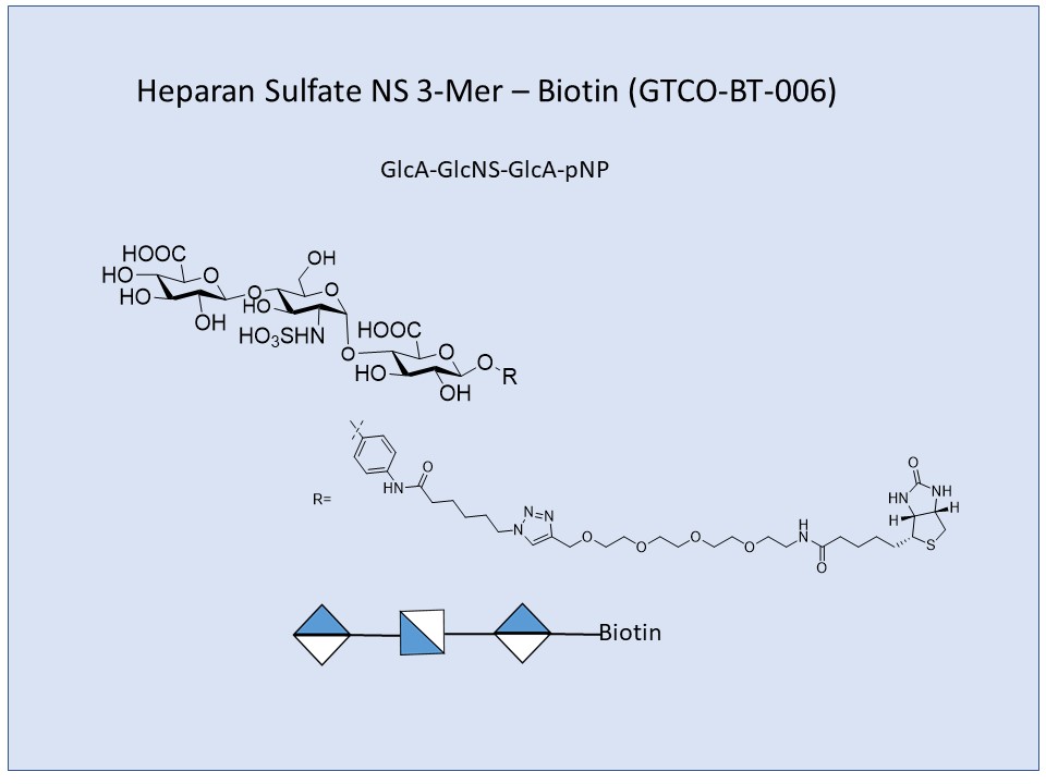 Heparan Sulfate NS 3-Mer