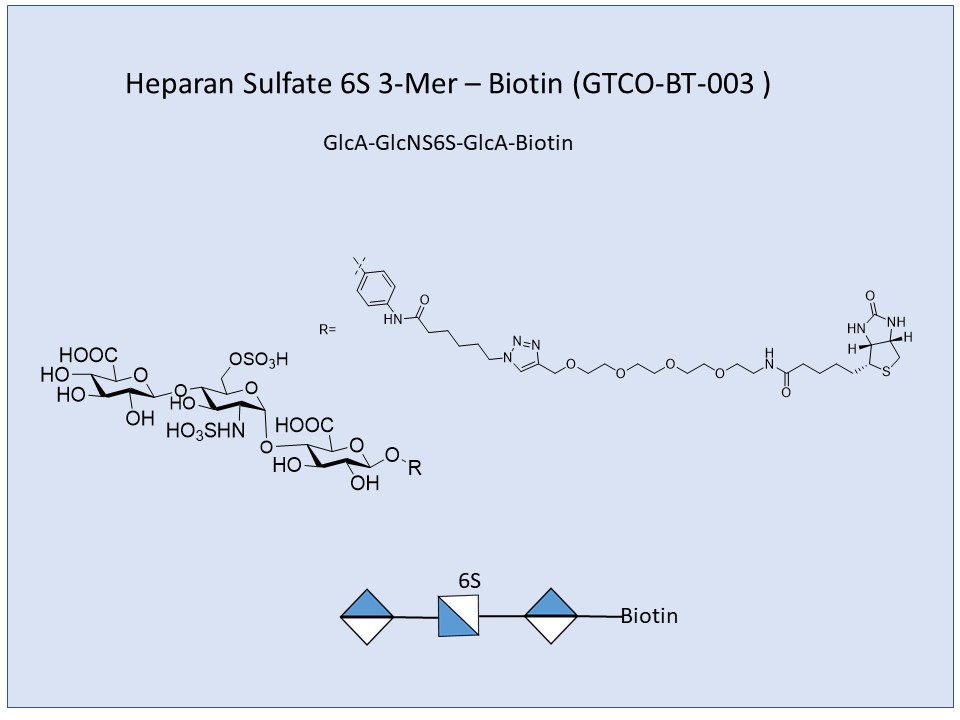 Heparan Sulfate 6S 3-Mer