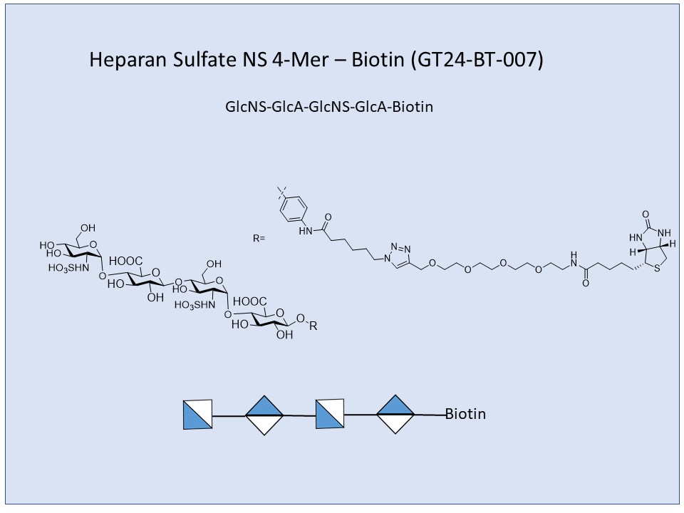 Heparan Sulfate NS 4-Mer