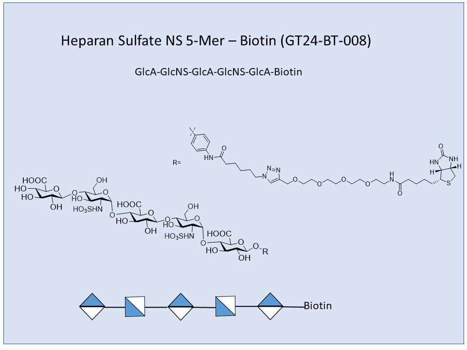 Heparan Sulfate NS 5-Mer