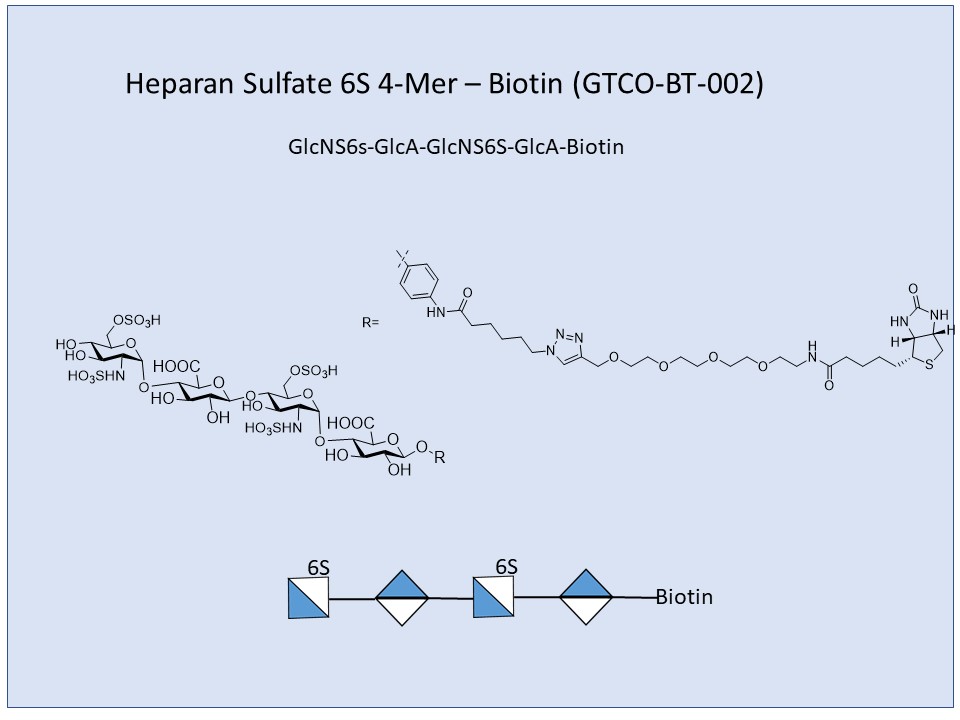 Heparan Sulfate 6S 4-Mer