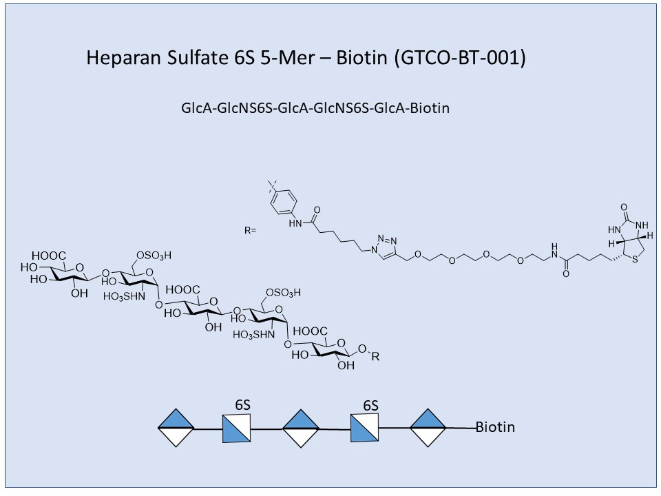 Heparan Sulfate 6S 5-Mer