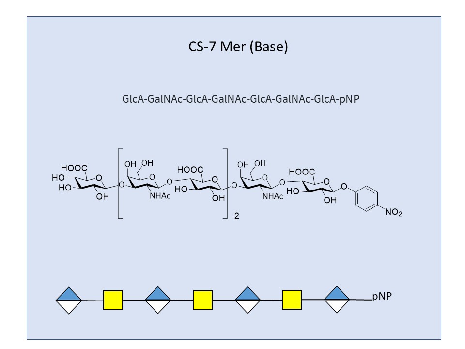 Chondroitin Sulfates, CS 7-Mer