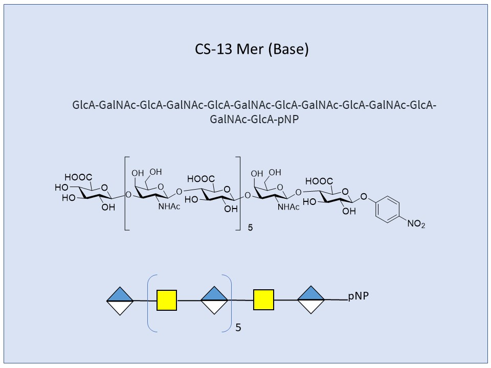Chondroitin Sulfates, CS 13-Mer