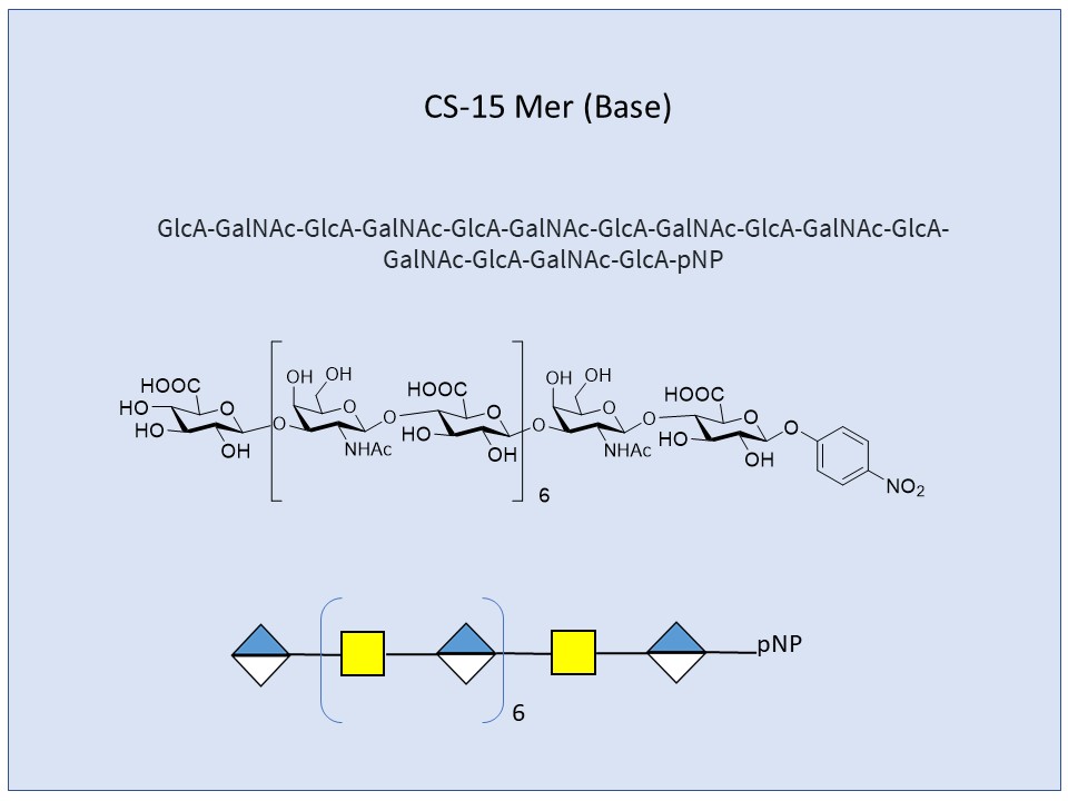 Chondroitin Sulfates, CS 15-Mer