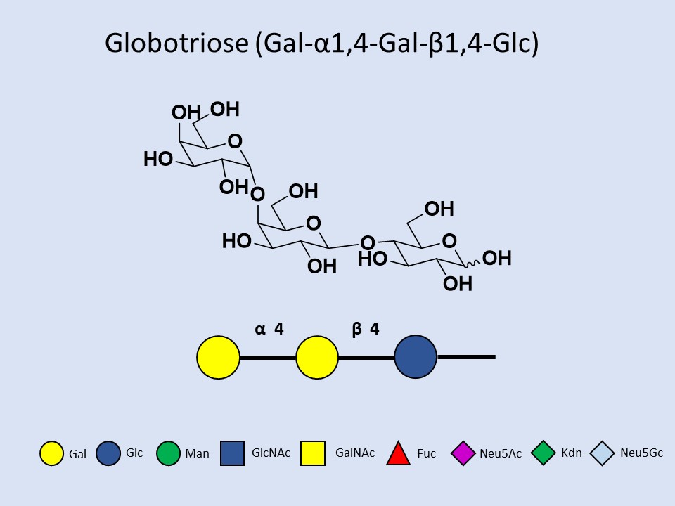 Globotriose