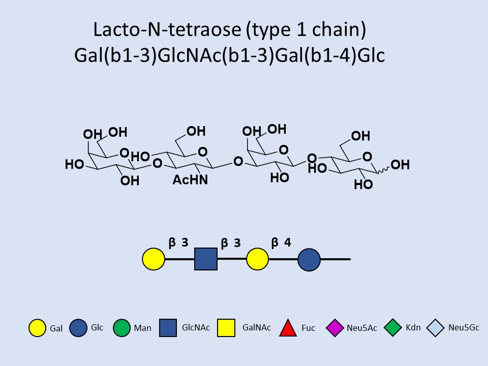 Lacto-N-tetraose (LNT)
