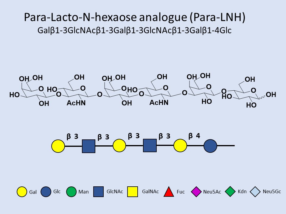 Para-Lacto-N-hexaose Analogue (Para-LNH)