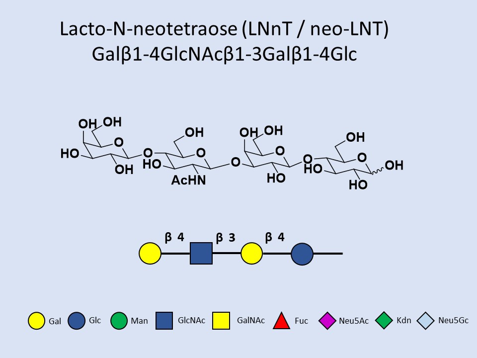 Lacto-N-neotetraose (LNnT / neo-LNT)