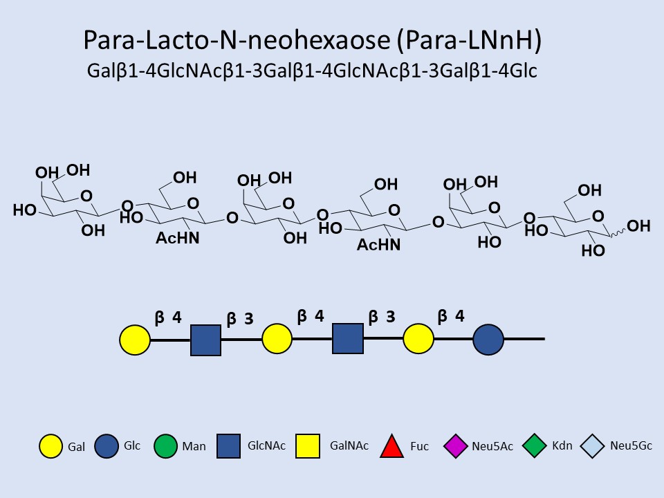 Para-Lacto-N-neohexaose (Para-LNnH)
