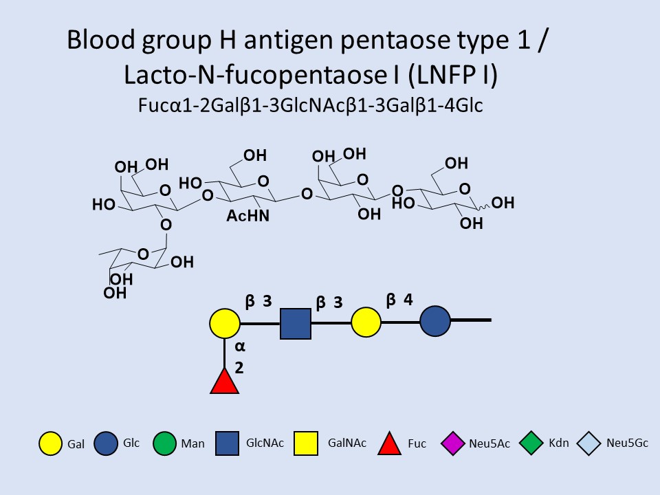 Blood group H antigen pentaose type 1 / Lacto-N-fucopentaose I (LNFP I)