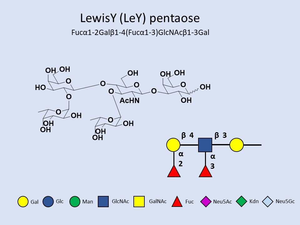 LewisY (LeY) pentaose