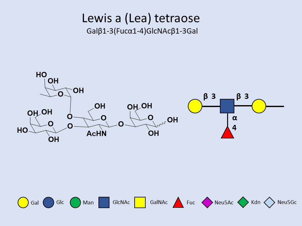 Lewisa (Lea) tetraose