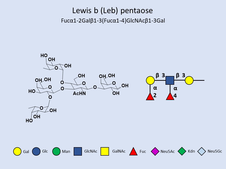 Lewisb (Leb) pentaose