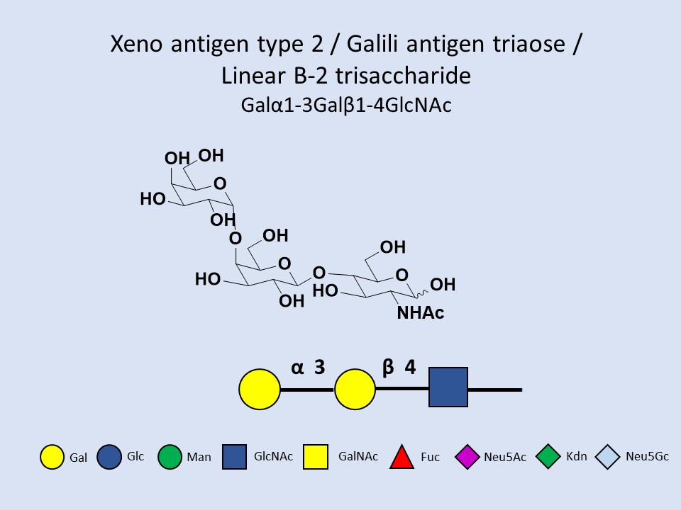 Xeno antigen type 2 / Galili antigen triaose /Linear B-2 trisaccharide